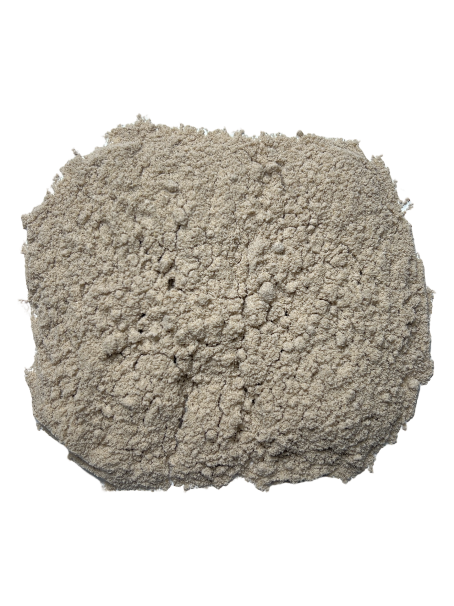 SK-50 Sunflower Protein Powder Sample