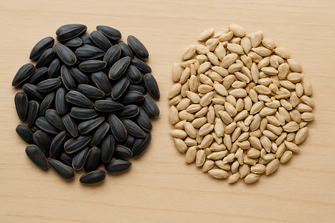 Sunflower Kernels vs. Black Oil Sunflower Seeds: What’s the Difference?